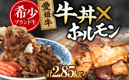 [冷凍] 牛丼×9食とミックスホルモン×1,500g 計2,85kg [AGCC074] 牛肉