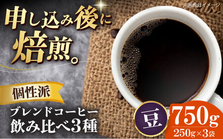 コーヒー豆 個性派コーヒー飲み比べ 3種セット(各250g)珈琲 [AGCU023-2]