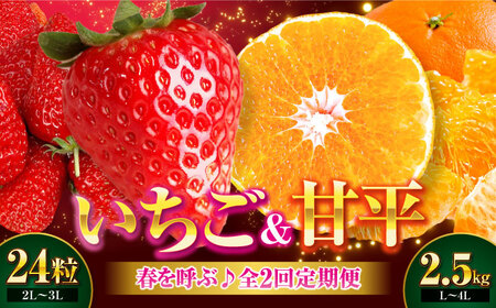 いちご・甘平 春を呼ぶ♪定期便[先行予約][全2回定期便] いちご(紅ほっぺ)24粒・甘平2.5kg(Lから4Lサイズ混合) 