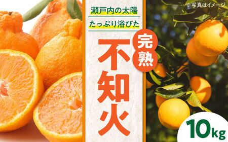 【先行予約】【2025年2月下旬から順次発送】おひさまの光をいっぱい浴びて育ちました！新鮮！完熟不知火 10kg　愛媛県大洲市/永沼農園[AGAW004]みかん不知火果物みかん不知火果物みかん不知火果物みかん不知火果物みかん不知火果物みかん不知火果物みかん不知火果物みかん不知火果物みかん不知火果物みかん不知火果物みかん不知火果物みかん不知火果物みかん不知火果物みかん不知火果物みかん不知火果物みかん不知火果物みかん不知火果物みかん不知火果物みかん不知火果物みかん不知火果物みかん不知火果物みかん不知火果物みかん不知火果物みかん不知火果物みかん不知火果物みかん不知火果物みかん不知火果物みかん不知火果物みかん不知火果物みかん不知火果物みかん不知火果物みかん不知火果物