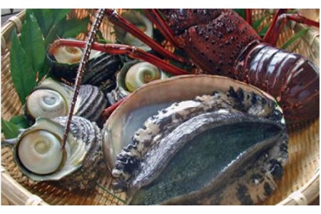 魚のプロが厳選した瀬戸内の旬の味!何が届くかはお楽しみ♪「天然活魚おまかせセット」約3人前 愛媛県大洲市/天然活魚 濱 屋[AGBP008]魚介類海鮮鮮魚魚介類海鮮鮮魚