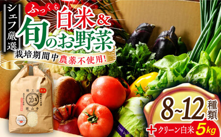 栽培期間中農薬不使用!旬のお野菜セット×クリーン白米[ふるさと納税限定] 愛媛県大洲市/有限会社ヒロファミリーフーズ [AGBX009]