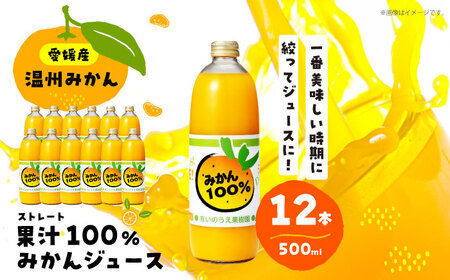 みかんが1番美味しい時期にジュースにしました！うんしゅうみかんジュース（ストレート）500ml×12本 愛媛みかんジュース みかんジュース みかん  愛媛県大洲市/有限会社いのうえ果樹園[AGBV008]愛媛みかんジュース みかんジュース みかん 