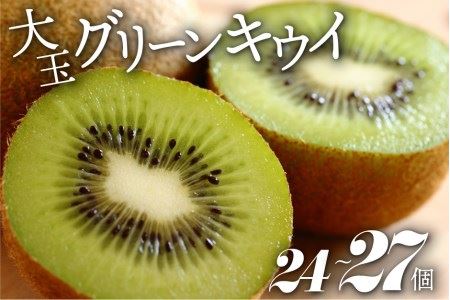 [先行予約][2025年1月中旬から順次発送]生産量日本一!愛媛県産 キウイフルーツ(24個から27個入り)愛媛県大洲市/幸野観光なし園[AGBD004] 果物 フルーツ キウイ キウイフルーツ デザート キウイ果物