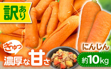 にんじん[5月上旬から順次発送]訳アリ にんじん 10kg 愛媛県大洲市/株式会社誠実村[AGER001]