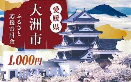 大洲市への寄附 1,000円 [返礼品なし] [AGXX032]