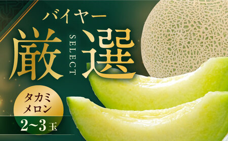 メロン[2026年6月中旬から順次発送]タカミメロン 2から3玉 愛媛県大洲市/西山青果 [AGAR022]