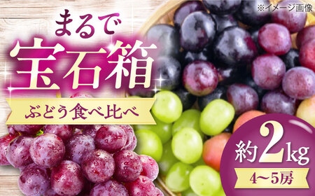 [先行予約][2026年8月中旬から9月中旬にかけて順次発送] ぶどう 4から5房 約2kg 詰め合わせ セット 愛媛県大洲市/有限会社西山青果 フルーツ 果物 ぶどう ピオーネ[AGAR023]