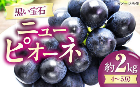 ニューピオーネ[2026年8月中旬から9月中旬にかけて順次発送]ニューピオーネ 4から5房 約2kg 有限会社西山青果 フルーツ 果物 ぶどう ピオーネ[AGAR024]