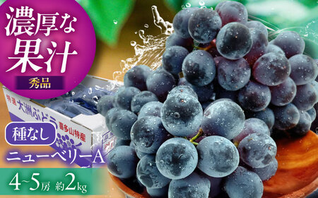 ぶどう[先行予約][2026年8月中旬から順次発送]ニューベリーA 4-5房入 2.0kg 愛媛県大洲市/株式会社フジ・アグリフーズ[AGBA024]