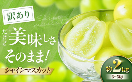 シャインマスカット[先行予約][2026年9月中旬より順次発送] 訳あり シャインマスカット 約2kg(3〜5房)わけあり 愛媛県大洲市/沢井青果有限会社 [AGBN056]