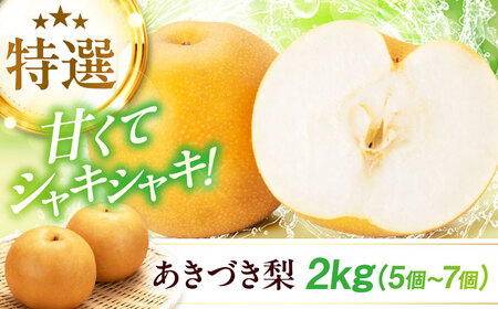 [先行予約][2025年9月中旬から順次発送]特選 あきづき 梨 2kg(5個から7個入り)愛媛県大洲市/幸野観光なし園[AGBD008] 梨 梨 梨 梨 梨 梨