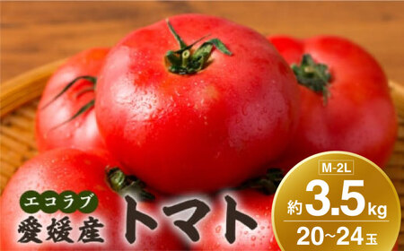 自然な美味しさ、たっぷり味わう。エコラブトマトMから2Lサイズ(20から24玉)約3.5kg 愛媛県大洲市/沢井青果有限会社 [AGBN012]とまとトマト野菜とまとトマト野菜とまとトマト野菜とまとトマト野菜とまとトマト野菜とまとトマト野菜とまとトマト野菜とまとトマト野菜とまとトマト野菜とまとトマト野菜とまとトマト野菜とまとトマト野菜とまとトマト野菜とまとトマト野菜とまとトマト野菜とまとトマト野菜とまとトマト野菜とまとトマト野菜とまとトマト野菜とまとトマト野菜とまとトマト野菜とまとトマト野菜とまとトマト野菜とまとトマト野菜とまとトマト野菜とまとトマト野菜とまとトマト野菜とまとトマト野菜とまとトマト野菜とまとトマト野菜とまとトマト野菜