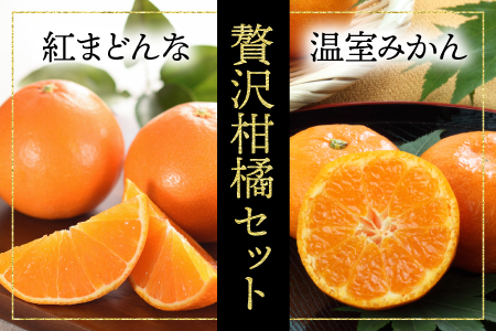 ≪数量限定≫愛媛県産「贅沢柑橘セット　温室みかん5�s（7月発送）と紅まどんな3�s（12月発送）」