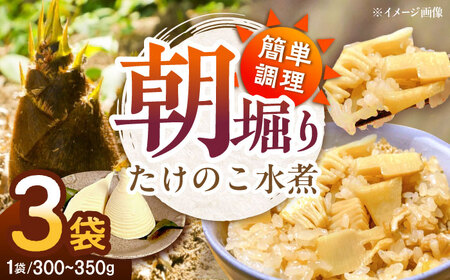 朝堀り たけのこの水煮(1袋300から350g)×3袋 [AGBN011]たけのこ たけのこ たけのこ たけのこ たけのこ