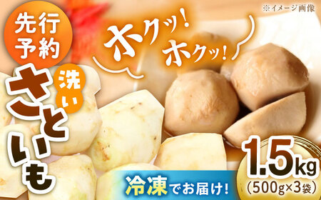 [冷凍][9月下旬より順次発送]洗い里芋500g×3袋 愛媛県大洲市/沢井青果有限会社 [AGBN039]野菜 里芋 さといも