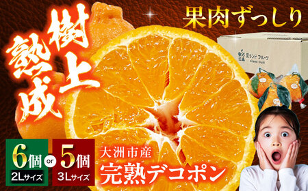 デコポン(完熟)5-6個 デコポン 不知火[3月下旬から順次発送][AGBA008]