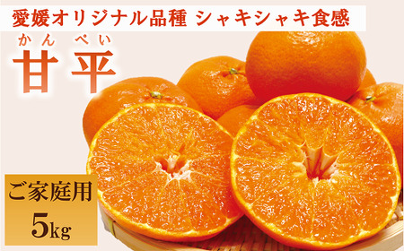 ݂ Q Õi5kgjƒp L`RLTCY lC ʌ s\ k ɗ\sbC51