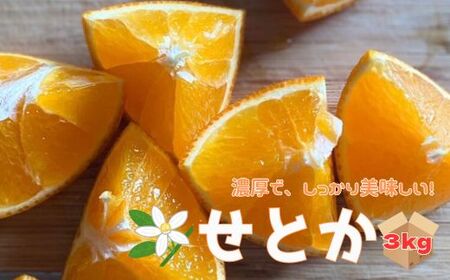 せとか 3kg ご家庭用 みかん 愛媛 先行予約 【2026年2月上旬から順次発送】 数量限定 愛媛県産 人気 柑橘 伊予市｜B244