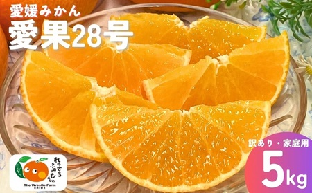 愛果28号 5kg ご家庭用 訳あり レッスルファーム みかん 紅まどんなと同一品種 愛媛[2026年11月下旬から順次発送予定]先行予約 数量限定 おすすめ 美味しい おいしい グルメ フルーツ くだもの 愛媛県産 人気 柑橘 伊予市