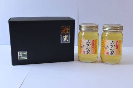 はちみつ みかん蜜 2本 柑橘 みかん 純粋はちみつ 愛媛県産 藤田養蜂場 伊予市｜B250