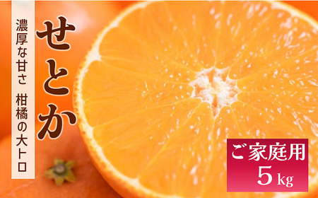 せとか バラ詰め 5kg 先行予約 2025年1月発送 愛媛 数量限定 愛媛県産 人気 柑橘 伊予市｜C55