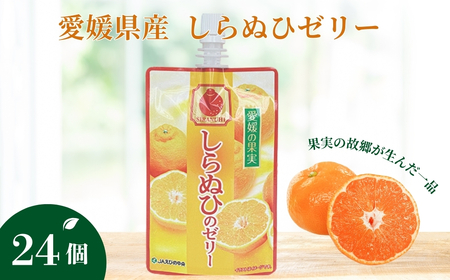 ゼリー飲料 ゼリー 飲むゼリー しらぬい 150g×6個×4箱 JAえひめ 愛媛の果実しらぬいのゼリー (E-7) |