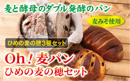 [愛媛県産大麦(はだか麦)使用]Oh!麦パン ひめの麦の穂セット パン 篠崎ベーカリー 詰め合わせ こだわり おすすめ 食べ比べ おやつ 朝ごはん 伊予市 老舗 |