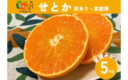 せとか(施設・露地)5kg ご家庭用 訳あり レッスルファーム みかん 愛媛[2026年1月下旬順次発送]先行予約 数量限定 おすすめ 美味しい おいしい グルメ フルーツ くだもの 愛媛県産 人気 柑橘 伊予市|