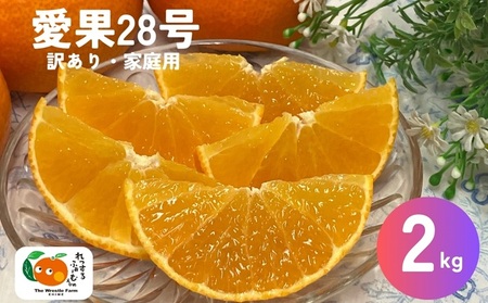28 ݂ 2kg ƒp  bXt@[ Q y2025N12{z s\ ʌ    O t[c  QY lC k ɗ\s