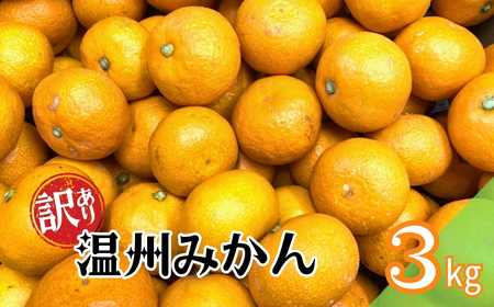 訳あり 温州みかん 3kg ご家庭用 人気 数量限定 先行予約 愛媛 みかん 柑橘 [2025年11月上旬以降発送]|