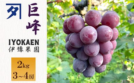 Ȃ 2kg y2026Ns\E2026N8珇\z Ԃǂ  ʕ Q lC ɘʉ ɗ\sbB389