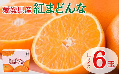 g܂ǂ Q LTCY 6 ݂ lC ʌ k ɗ\sy2025N11{zbB450