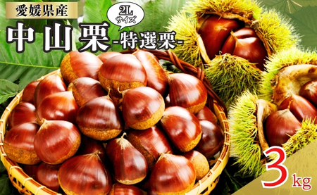 RI II 2LTCY 3kg Quh I N ① ZȊÂ zNzN ĂI I͂ R ɗ\s QbC143