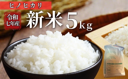 お米 令和7年産 新米 5kg ヒノヒカリ 特別栽培米 先行予約 [2025年11月以降発送] 精米 米 こめ コメ 白米 ごはん ライス 愛媛 伊予市|
