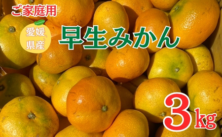 早生みかん 3kg ご家庭用 農園直送 先行予約 [11月以降順次発送予定] 愛媛 数量限定 愛媛県産 人気 柑橘 伊予市|
