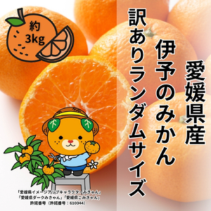 �󂠂� �ɗ\�݂̂��� ��3kg �T�C�Y�~�b�N�X �����_�� �y2025�N11�����{���珇�������\��z �݂��� ���Q���Y ���ʌ��� ��s�\�� ���k �ɗ\�s�bB505