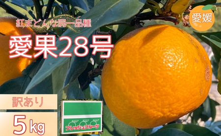 ݂ 28 5kg 󂠂 ƒp g܂ǂȂƓi _ s\ y11{珇\z Q ʌ QY lC k Y t[c ɗ\sbB504