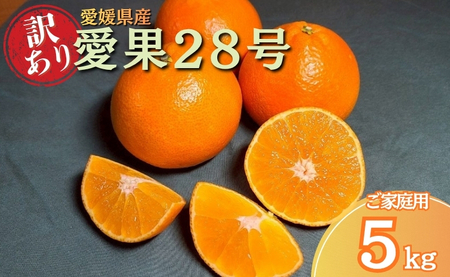 ݂ 󂠂 28 g܂ǂȂƓi 5kg TCY~bNX ƒp y2025N12珇\z Q lC ʌ s\ k ɗ\t@[ ɗ\sbC137