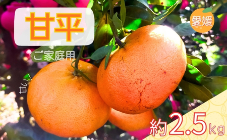 ݂ Õ 2.5kg ol ʌy2{珇\z Q lC k Y t[c ɗ\sbB519