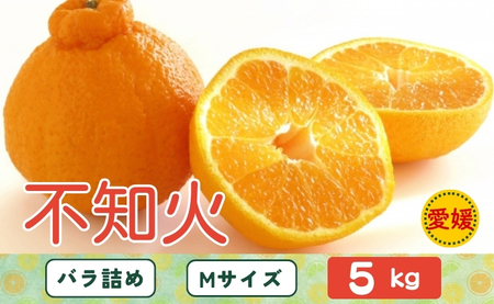 みかん 不知火 しらぬい 5kg Mサイズ バラ詰め [3月中旬順次発送予定] 愛媛みかん ミカン 蜜柑 果物 くだもの フルーツ 柑橘 かんきつ 柑橘類 おすすめ 人気 国産 愛媛 伊予市 [先行予約] [数量限定]|