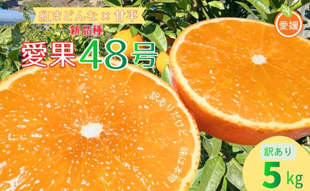 みかん 愛果48号 5kg ご家庭用 紅プリンスと同一品種 農園直送 先行予約 [3月下旬から順次発送予定] 愛媛 数量限定 愛媛県産 人気 柑橘 国産 フルーツ 伊予市|