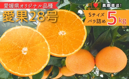 みかん 愛果28号 5kg Sサイズ バラ詰め 紅まどんなと同一品種 農園直送 先行予約 [11月中旬から順次発送予定] 愛媛 数量限定 愛媛県産 人気 柑橘 伊予市|