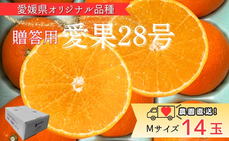 みかん 愛果28号 Mサイズ 14玉 贈答用 紅まどんなと同一品種 農園直送 先行予約 [11月中旬から順次発送予定] 愛媛 数量限定 愛媛県産 人気 柑橘 伊予市|