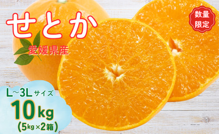 せとか L〜3Lサイズ 10kg みかん 愛媛 人気 数量限定 先行予約 柑橘 伊予市[2026年2月中旬順次発送]|
