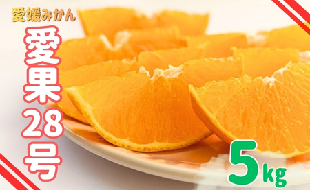 みかん 愛媛 愛果28号 紅まどんなと同一品種 5kg 家庭用 人気 数量限定 先行予約 柑橘 伊予市[2026年11月下旬以降順次発送]|