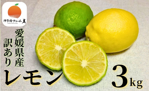 [2026年先行予約]レモン 3kg ご家庭用 バラ詰め ユーレカ 愛媛 [2026年10月から順次発送予定] 数量限定 檸檬 柑橘 フルーツ ビタミン 国産 伊予市|