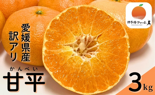 [2027年先行予約]みかん 甘平 3kg ご家庭用 バラ詰め 愛媛 [2027年2月から順次発送予定] 数量限定 柑橘 フルーツ 国産 伊予侍ファーム 伊予市|