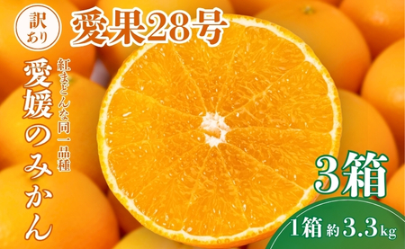 【2026年先行予約】 愛果28号 約3.3kg×3箱 ご家庭用 みかん 紅まどんなと同品種 柑橘 愛媛 【2026年11月下旬から順次発送予定】 数量限定 人気 伊予市｜D61
