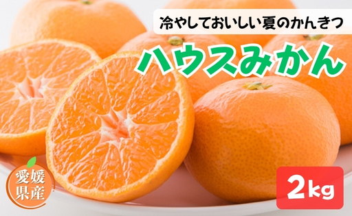 ハウスみかん ご家庭用 2kg [7月下旬から順次発送予定] みかん 人気 数量限定 柑橘 愛媛 伊予市|